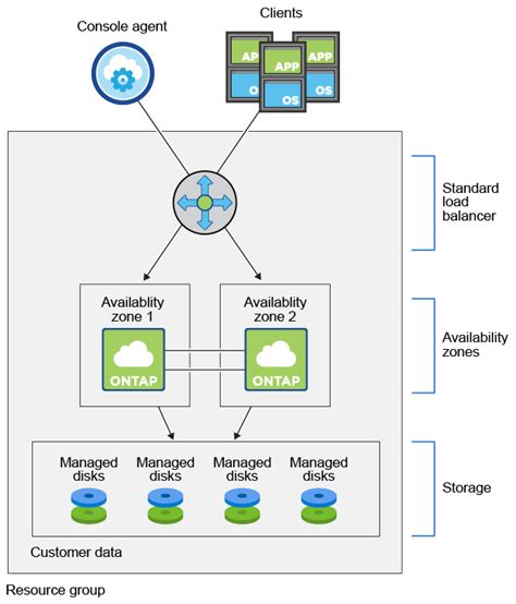 Netapp Cloud Volumes Ontap With A File Catalog