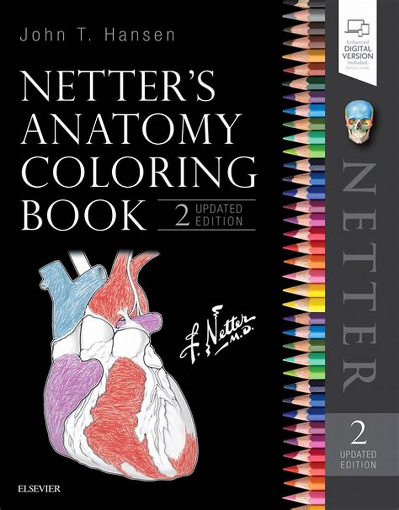 Netter Basic Science Netter S Anatomy Coloring Book