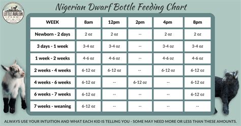Nigerian Dwarf Goat Feeding Chart