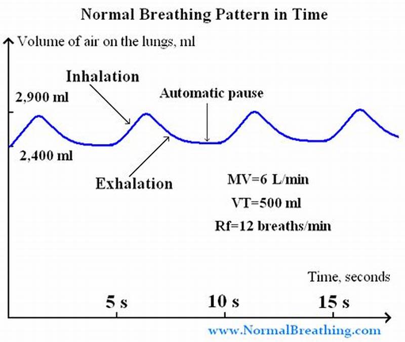 Normal Breathing Pattern In Infants