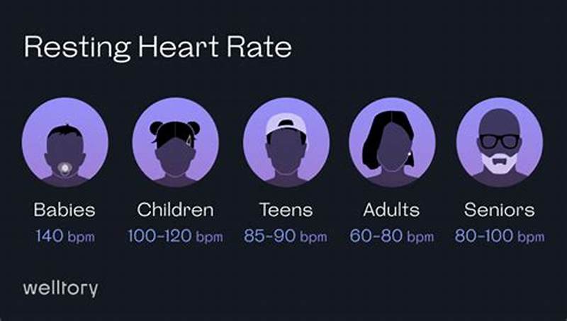Normal Heart Rate Pattern During Sleep