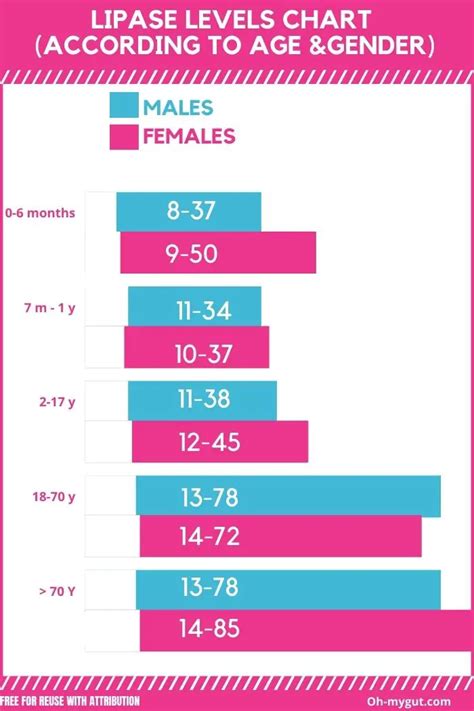 Normal Lipase Level Chart