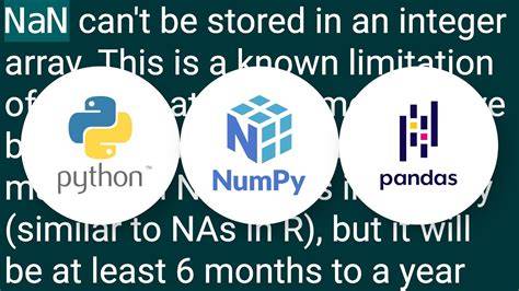 NumPy or Pandas Keeping array type as integer while having a NaN value