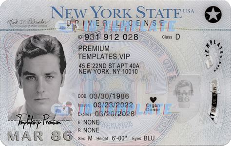 Nys Drivers License Template