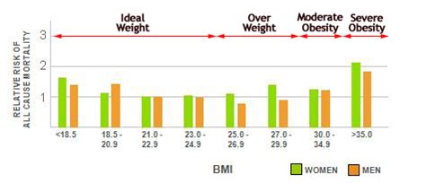 Obesity Life Expectancy Chart