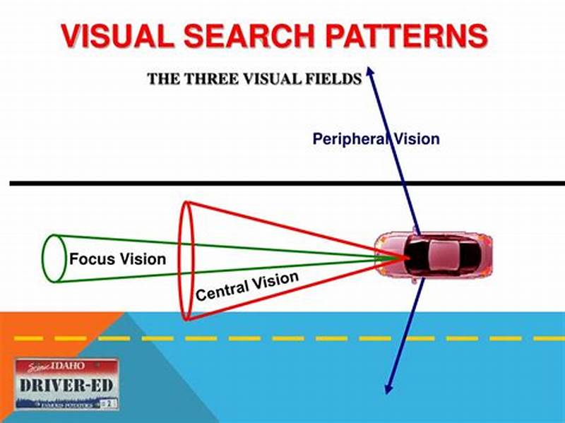 Orderly Visual Search Pattern Drivers Ed