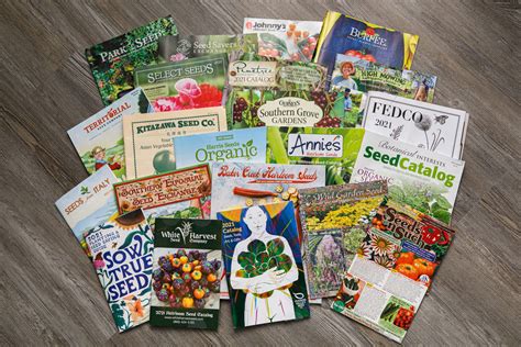 Organic Seed Catalogs