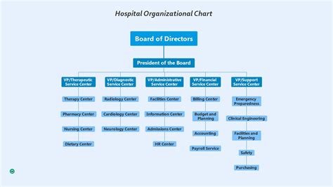 Organization Chart In Hospital
