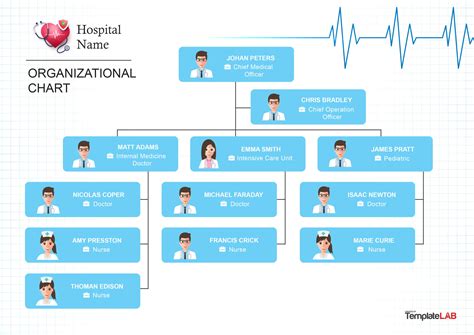 Organizational Chart For Nurses