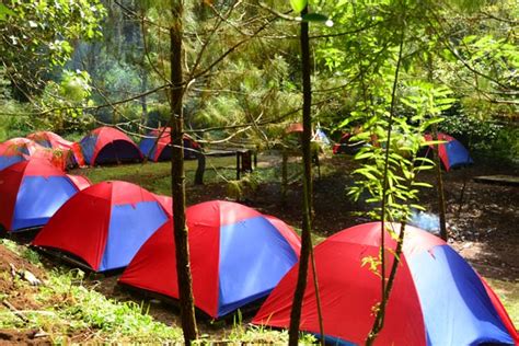 Outbound dan Camping Di Cihideung Lembang