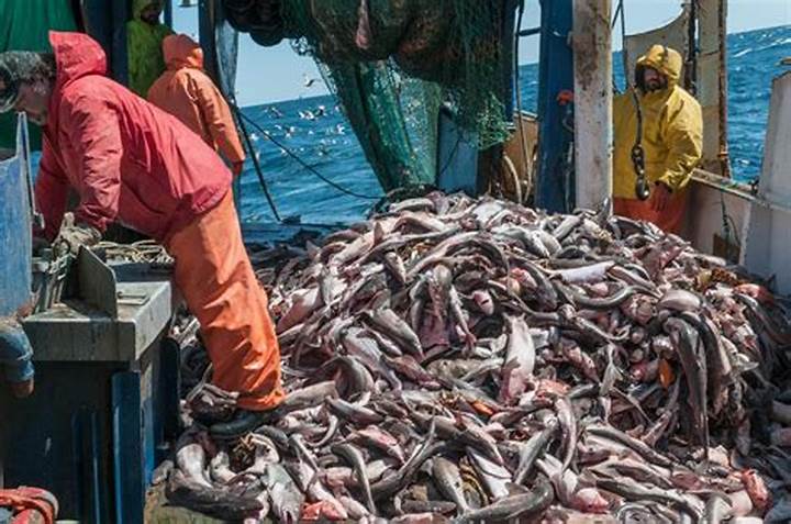 Overfishing and Animal Farming