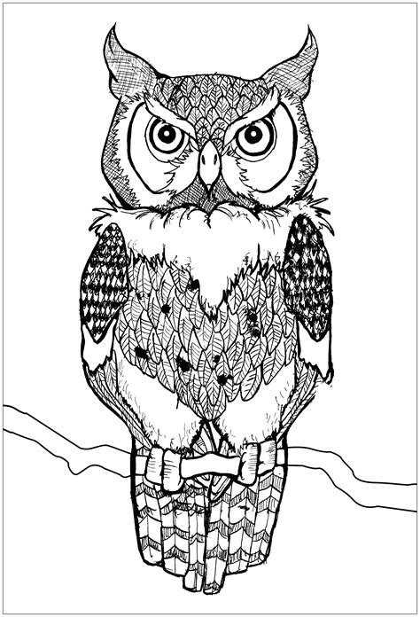 Owl Coloring Sheets Printable