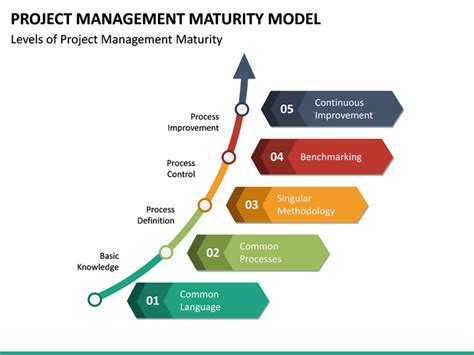 Management Maturity Model
