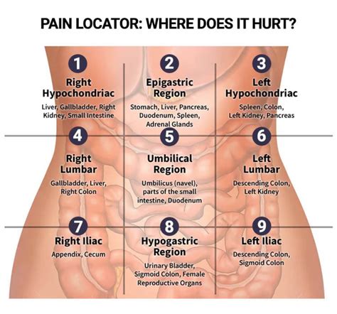 Pain Abdomen Chart