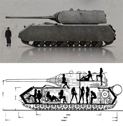 Maus Tank vs Sherman