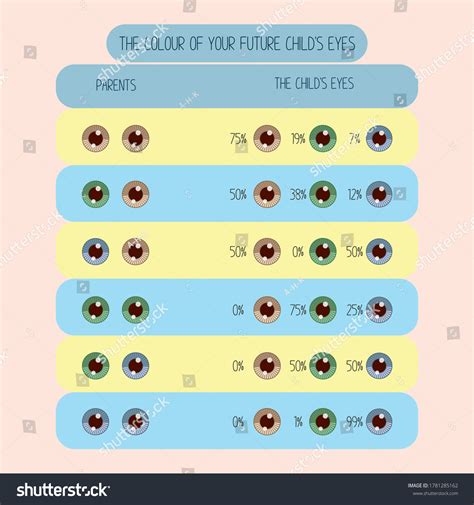 Parents Eye Color Chart