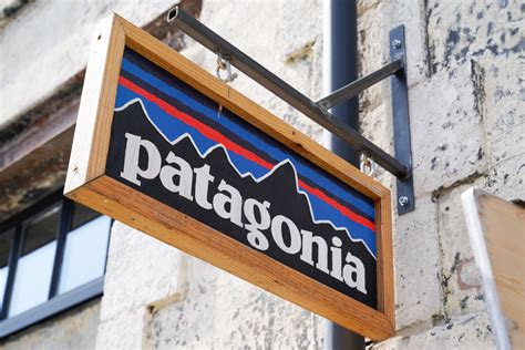 Patagonia profit