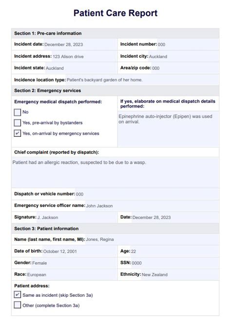 Patient Care Report Template