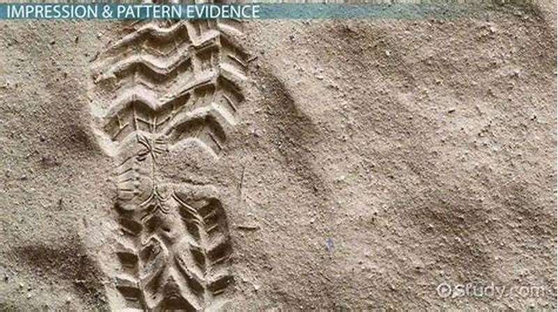 Pattern Evidence Definition