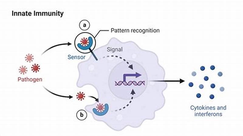 Pattern Recognition Is Involved In Innate Immunity