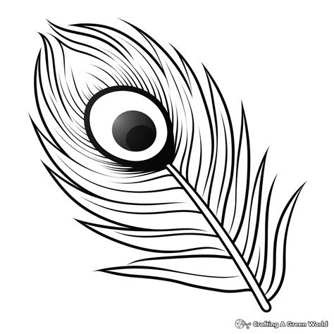 Peacock Feather Printable