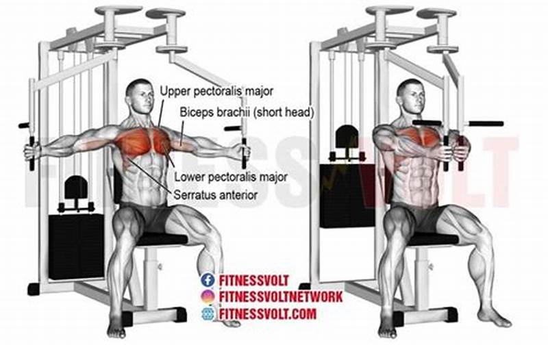 Pectoral Fly Machine Form