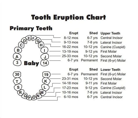 Pediatric Tooth Chart Letters