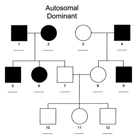 Pedigree Chart Genetics