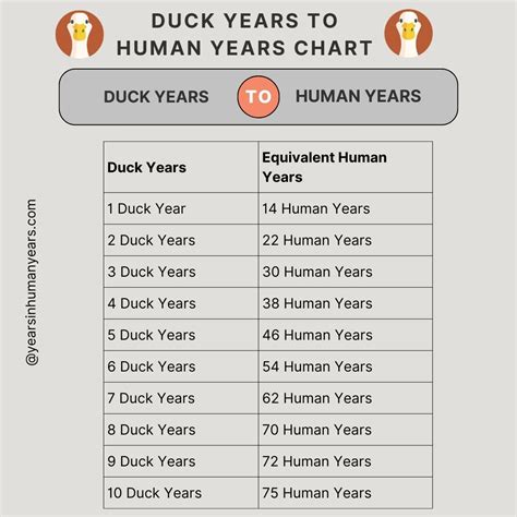 Pekin Duck Age Chart