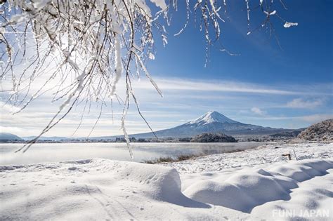 Pemandangan Salju di Jepang