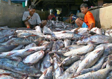 Pengolahan Hasil Laut