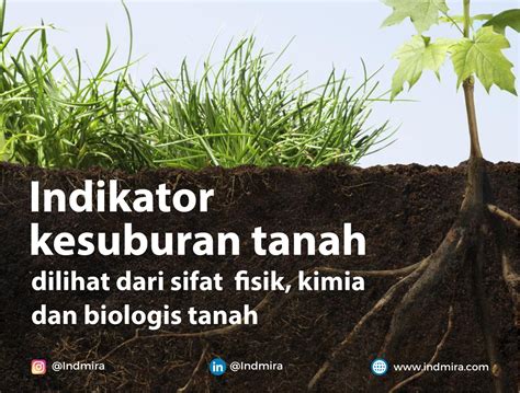 Peningkatan Kesuburan Tanah di Indonesia