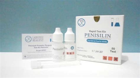 Antibiotik Penisilin