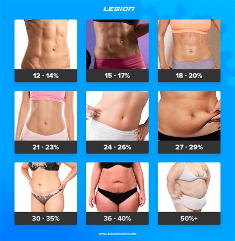 Percent Body Fat Women Chart