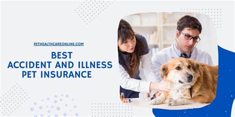 Pet Accidents and Illnesses