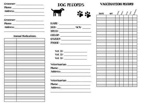 Pet Health Record Template