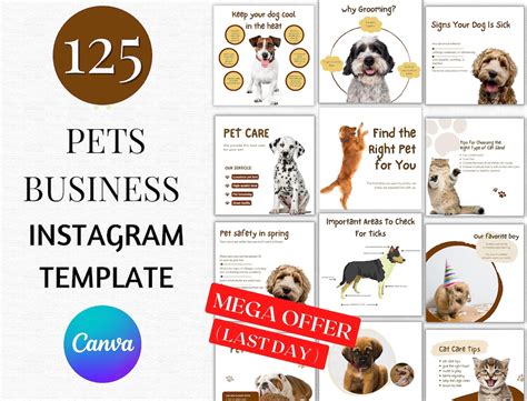 Pets Templates