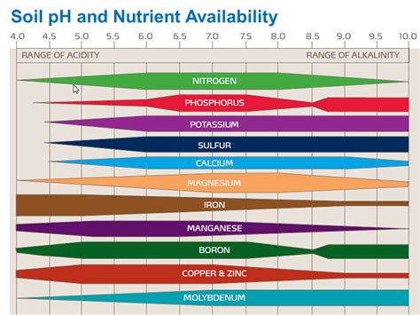 Ph Soil Nutrient Availability Chart