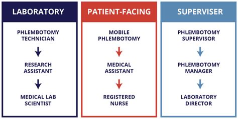 Phlebotomist Career Path
