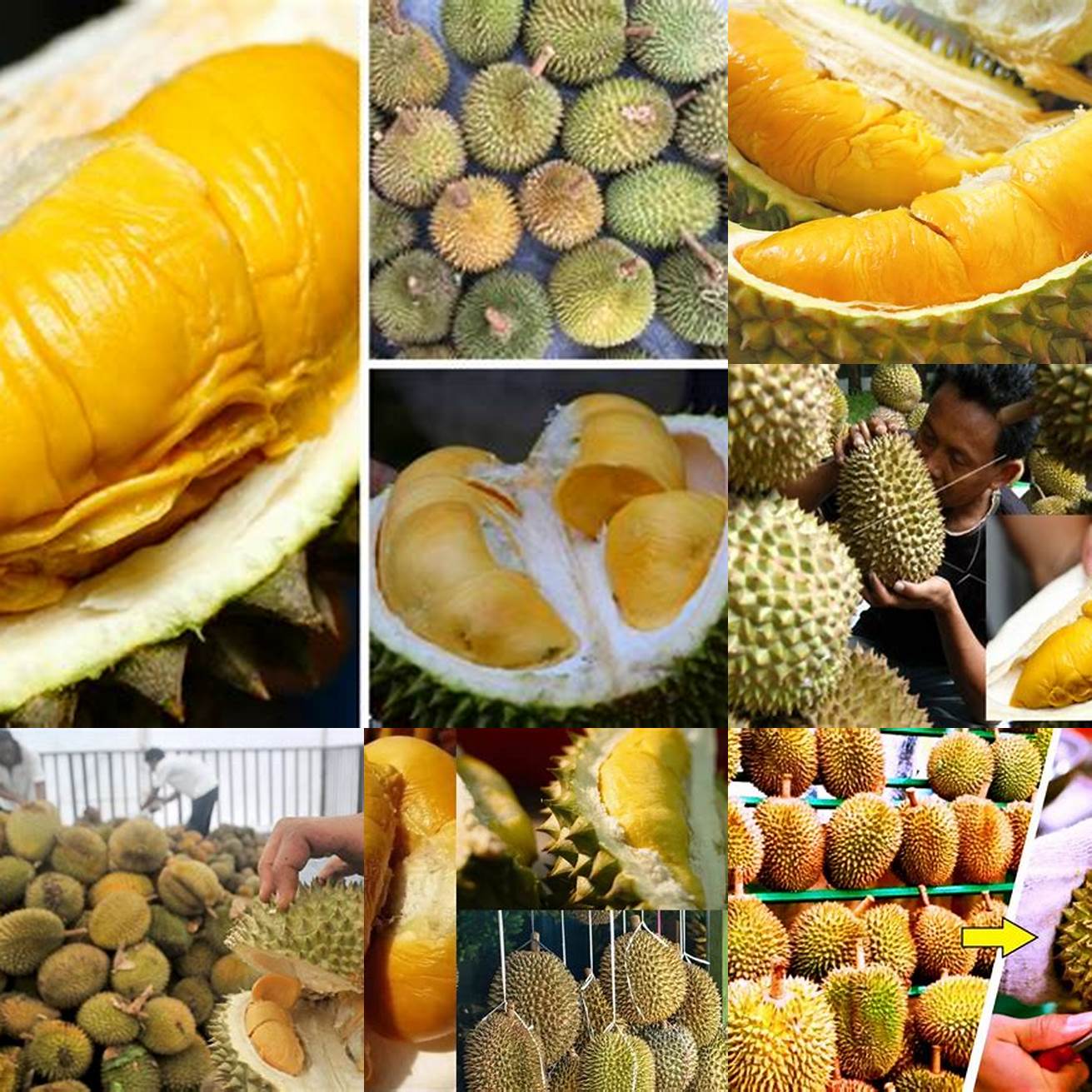Pilih durian yang matang