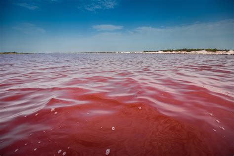 Pink Lake Senegal