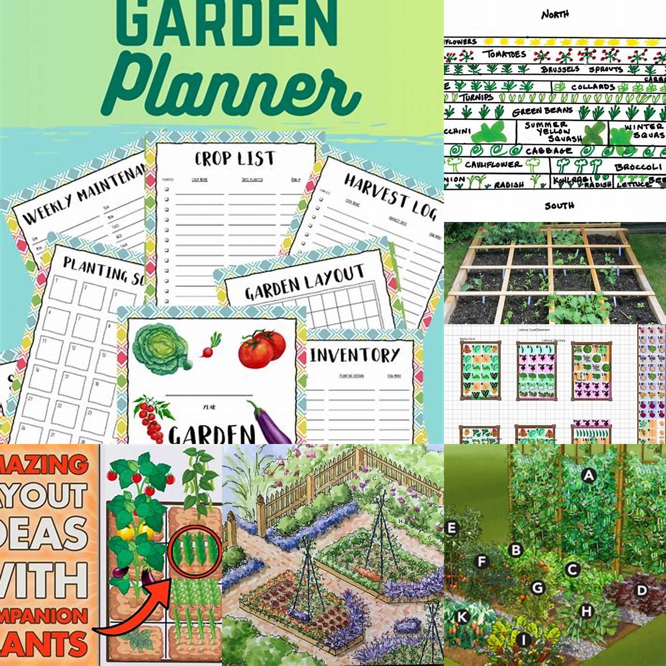 Plan Your Garden Plan your garden before planting