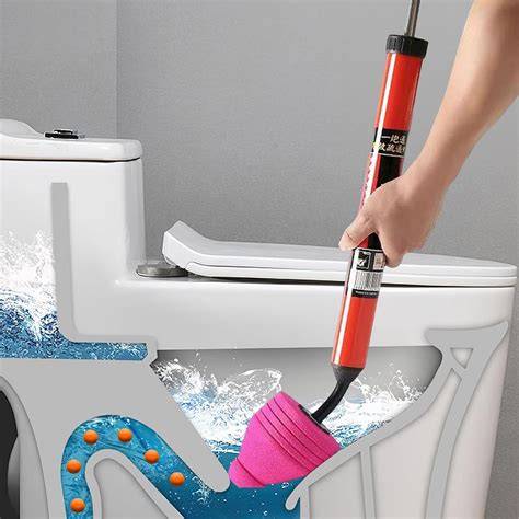 Plunger Toilet