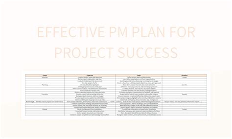 Pm Plan Template