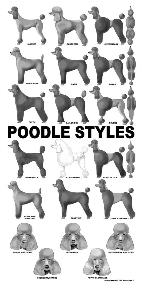 Poodle Haircuts Chart