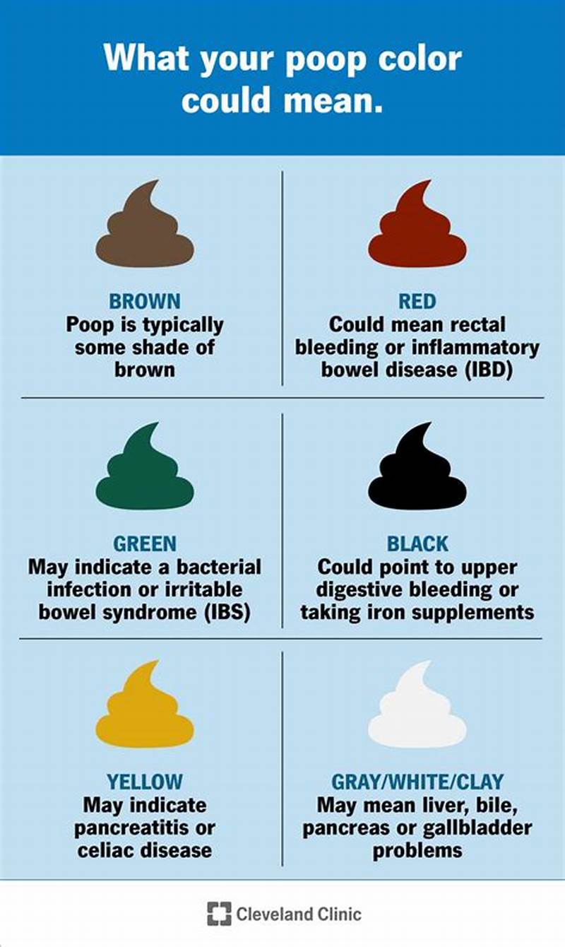 Poop Chart Color