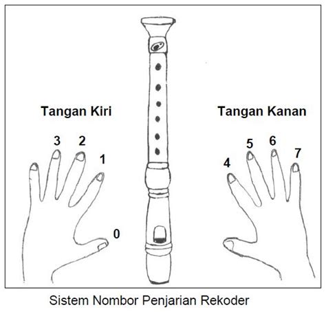 Posisi Jari Tangan Kiri Recorder