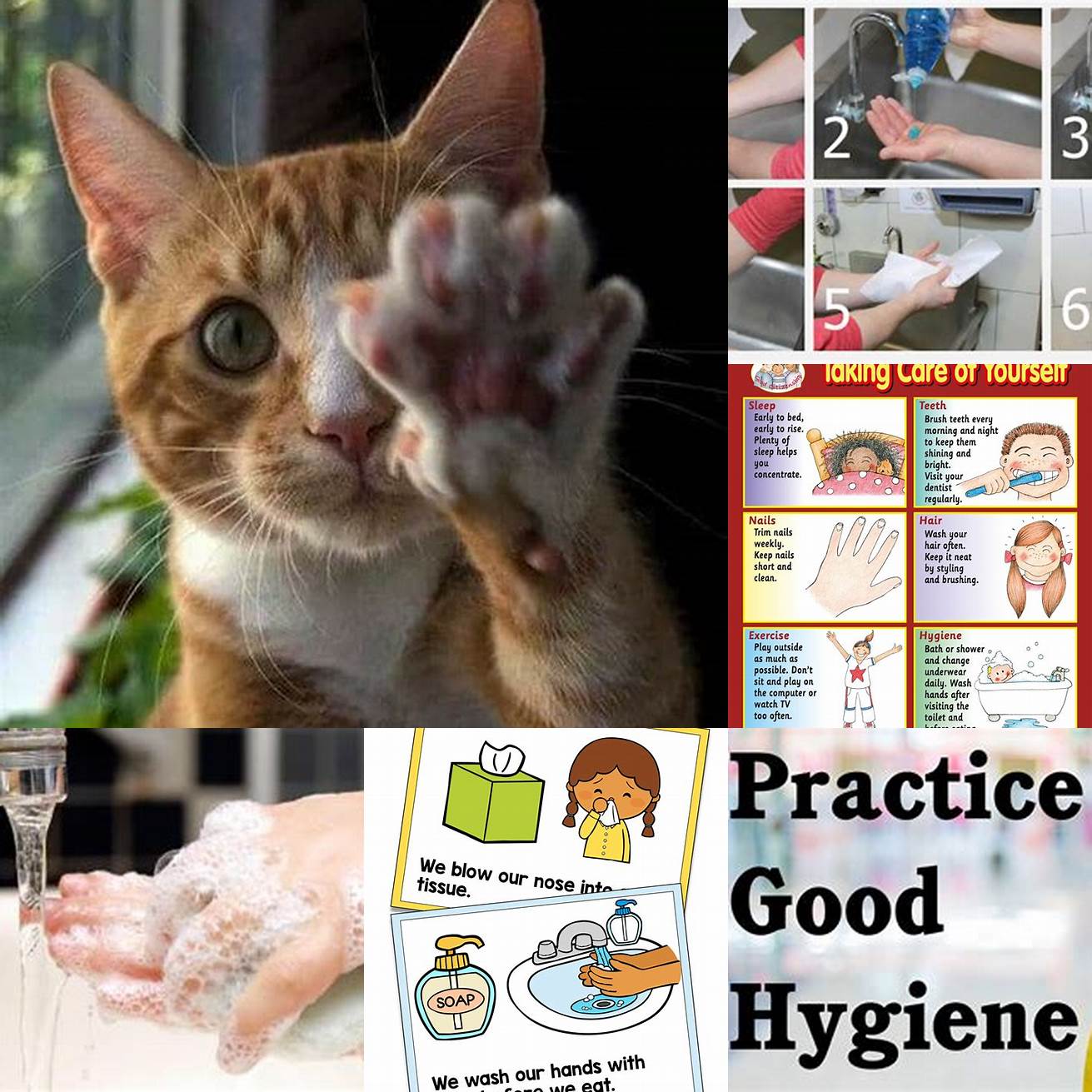 Practice Good Hygiene