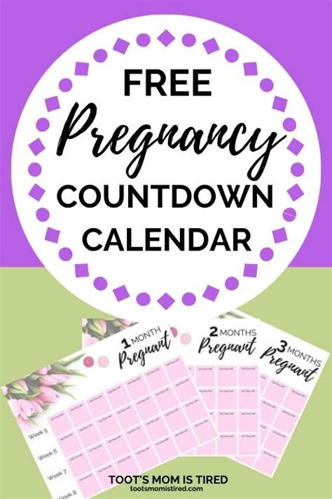 Pregnancy Countdown Calendar Printable