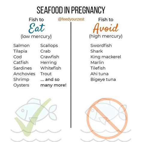 Pregnancy Seafood Chart